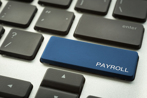Voyonfolks : Payroll Software & Online Hr Software In India