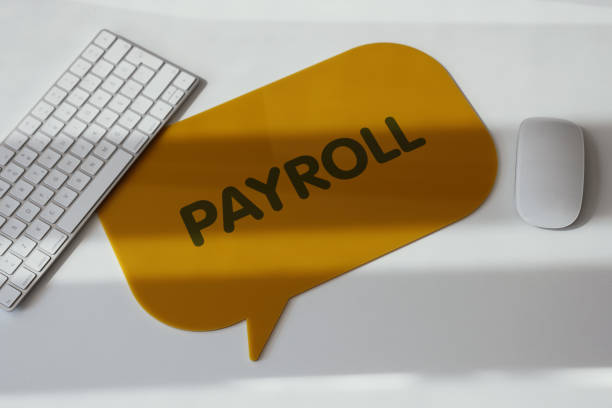 Why is Payroll Software More Important To Your Business?